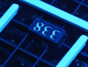 C338 -