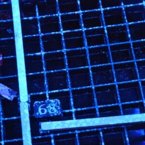 E68 -