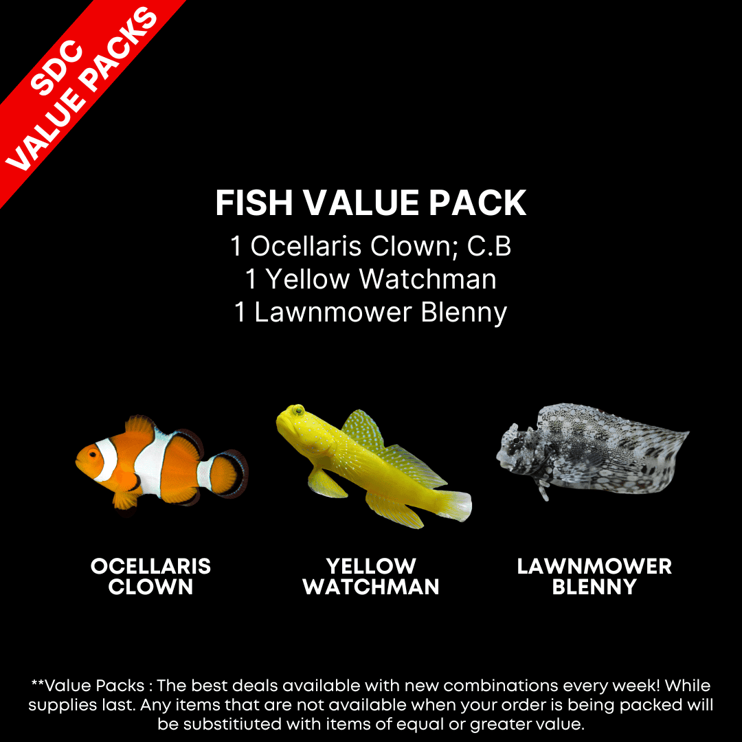 AAA: FISH Value Pack