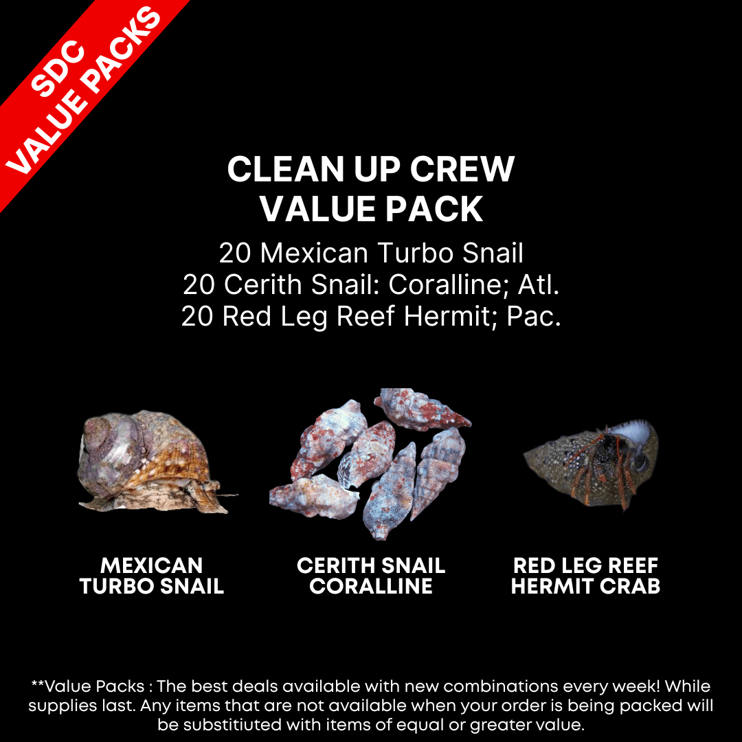 AAA: Clean Up Crew Value Pack