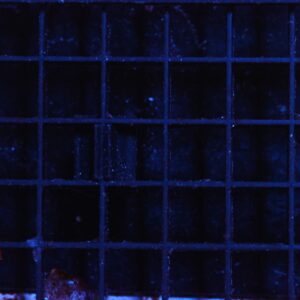 H01 -
