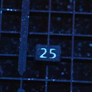 H25 -