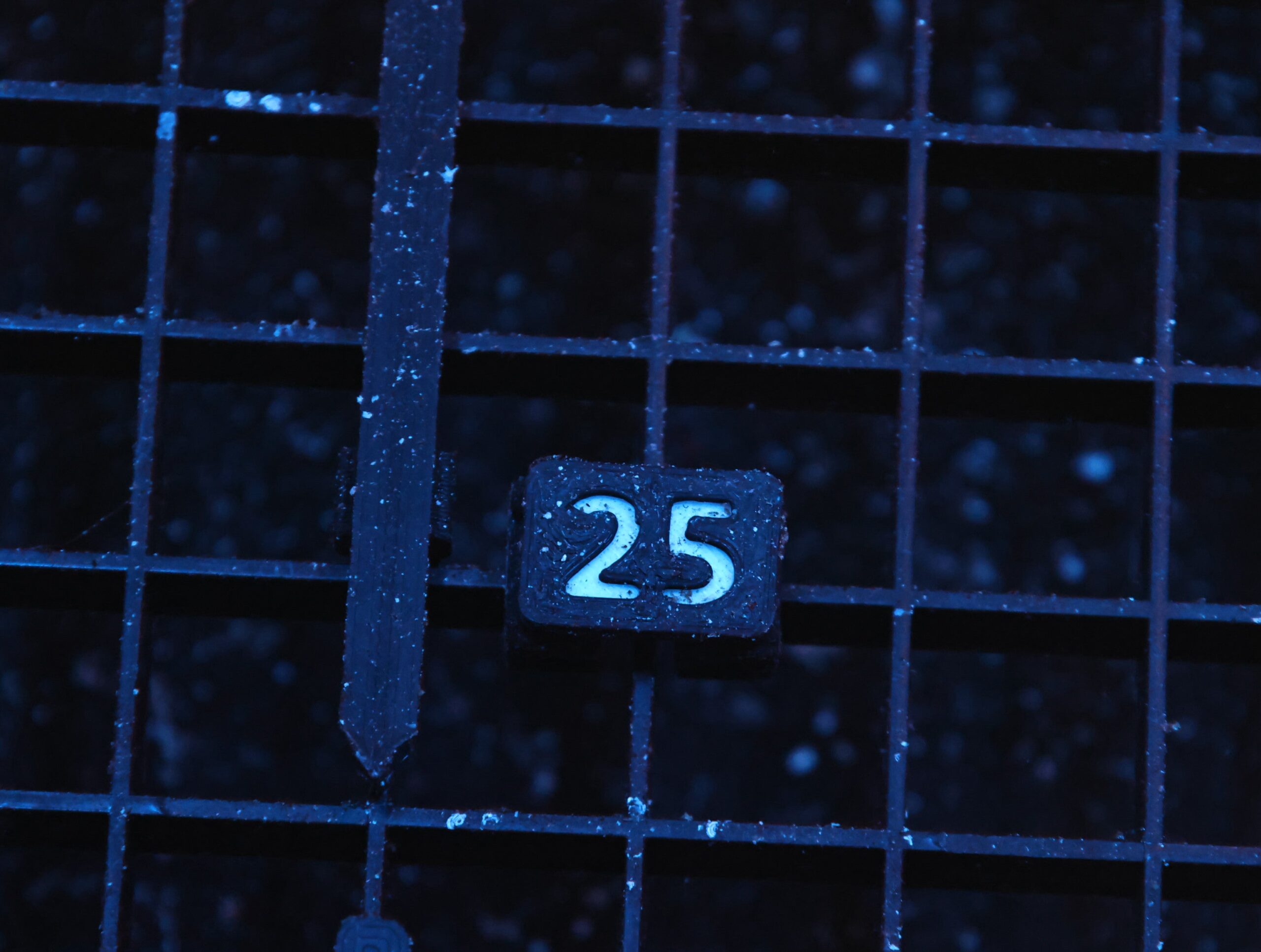 H25 -