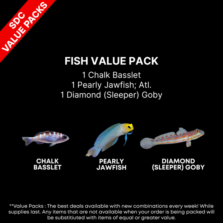 AAA: FISH Value Pack